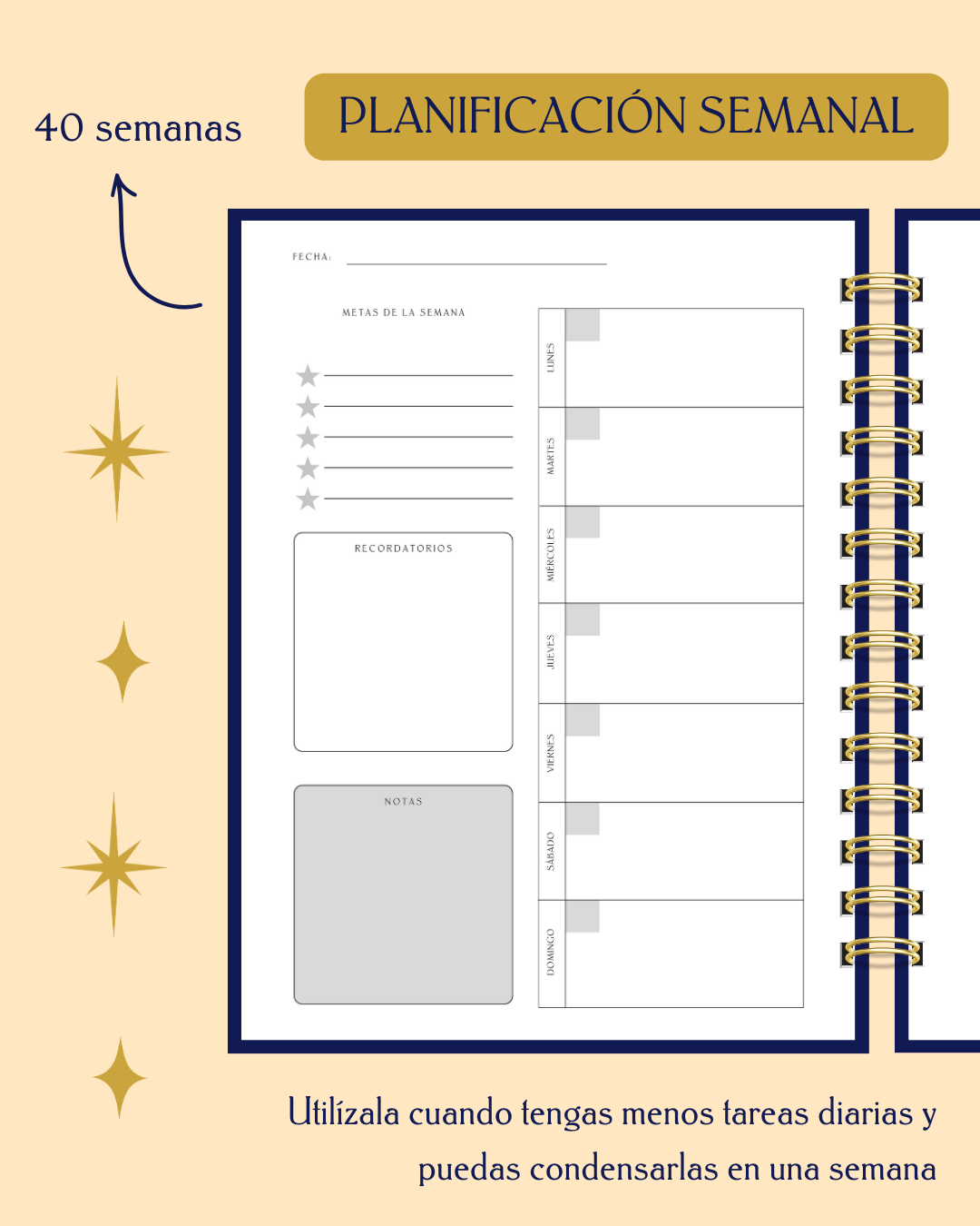 Kit de organización 2026 - Imagen 14